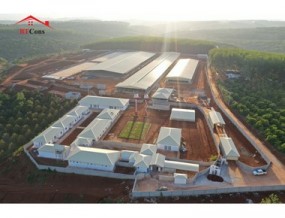 Xây Nhà Xưởng Thủ Đức Trọn Gói 2026 - Kết Cấu Thép Vững Chắc, Tiến Độ Chuẩn 098 674 88 36