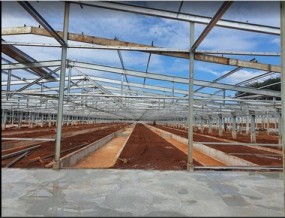Thi Công Nhà Xưởng Có Cầu Trục Bình Dương: Các Hạng Mục Cần Dự Toán