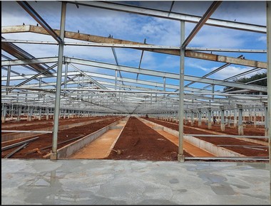 Thi Công Nhà Xưởng Có Cầu Trục Bình Dương: Các Hạng Mục Cần Dự Toán